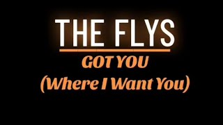 “GOT YOU Where I Want You”  THE FLYS Acoustic Cover Version theflys [upl. by De]