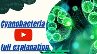 Cyanobacteria  Blue green algae  full explanation of Cyanobacteria [upl. by Olegnaid]