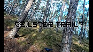 Nähe Regenstauf einer der geilsten Trails MTB Spaß [upl. by Cirdahc549]