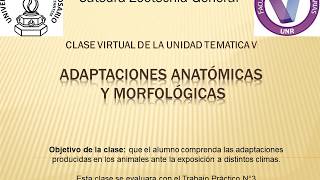 ADAPTACIONES ANATOMICAS Y MORFOLOGICAS [upl. by Dalohcin]