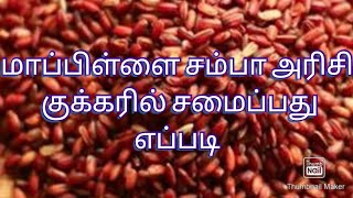 Mappillai samba rice cooking மாப்பிள்ளை சம்பா அரிசி சமைப்பது எப்படி [upl. by Aiekahs]