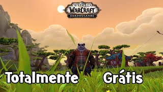 World of Warcraft Como jogar no Servidor private Shadowlands [upl. by Ilagam]