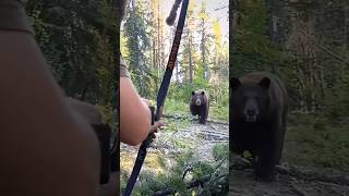 quot😱 HeartStopping Bear Encounter 🐻 Close Call in the Wild 🌲  Must Watch trending bear yt shots [upl. by Itisahc603]