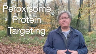 How Proteins Get Into Peroxisomes  Biology Explained [upl. by Etterraj36]