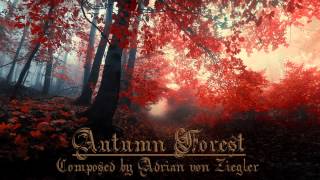 Relaxing Celtic Music  Autumn Forest [upl. by Ojok]