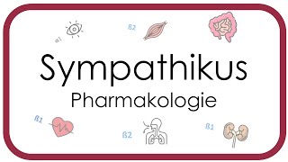 Vegetatives Nervensystem  Sympathikus  Pharmakologie [upl. by Eiramnna835]