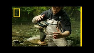 Watch This Guy Balance Rocks on Water in the Most Mesmerizing Way  Short Film Showcase [upl. by Reynold800]