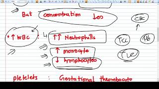 Understand Physiological Changes in Blood during Pregnancy Very Important [upl. by Behnken]