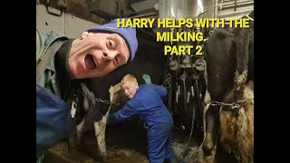 HARRY HELPS WITH THE MILKING PART 2 [upl. by Nimad]