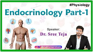 Endocrine Physiology  Part 1  Physiology video lectures By Dr Sree Teja [upl. by Onilegna253]