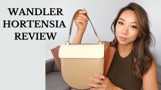 WANDLER HORTENSIA BAG REVIEW  Pros and Cons [upl. by Ytsirc]