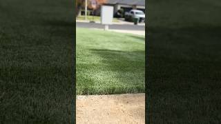 landscape artificialturf grass turf [upl. by Laerdna513]