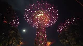 Garden by the bay SG Singapore midautumnfestival sg [upl. by Odareg]