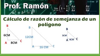 Semejanza de polígonos por ampliación y por reducción [upl. by Cristie483]