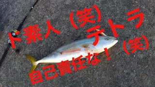 【浜名湖】青物 釣り 自己責任でしょ 浜名湖 遠州灘 釣り 青物 青物釣り 自己責任 よろしく [upl. by Zoarah376]