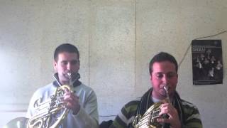 Beethoven 7 Orchestral Excerpt French Horn Javier Molina Parra y Miguel Morles Llopis [upl. by Kleeman]