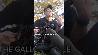 FINGERSTYLE BLUES THE GALLOWS POLE guitar fingerstyleguitar [upl. by Adnorehs811]