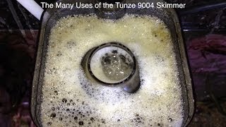 Power Outage Skimmer  Tunze 9004  ReefKeeping Video by AmericanReef  Start a Saltwater Aquarium [upl. by Gauthier429]