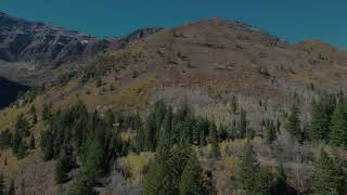 Alpine Loop Scenic Byway  Fall 2024 [upl. by Landrum]