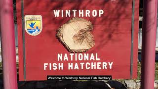 Introduction to Winthrop National Fish Hatchery  Virtual Tour Part 1 [upl. by Finnigan]