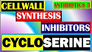 Cycloserine Antibiotics Pharmacology Mechanisms Actions Resistance Part 5 [upl. by Oiramal]