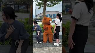 Taddy bear funny video taddy taddybear comedy funny shorts shortvideo [upl. by Kronick241]