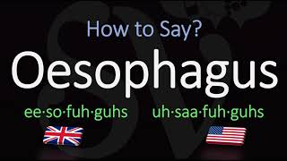 How to Pronounce Oesophagus CORRECTLY Meaning amp Pronunciation [upl. by Keith]