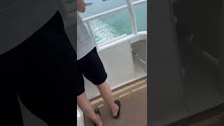 Ishigaki Island shortvideo trendingshorts travel travelphotograph ishigakiisland speedboat [upl. by Eirrak]