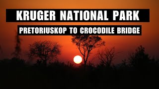 Ep 2  KRUGER NATIONAL PARK  ULTIMATE SELF DRIVE SAFARI  DAY 2 – PRETORIUSKOP TO CROCODILE BRIDGE [upl. by Amsden]