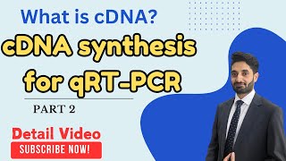 What is cDNAcDNA synthesis cDNA vs DNA how to use cDNA for qRTPCRSequencingMolecular Biology [upl. by Dustman]