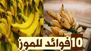 أهم 10 فوائد الموز  أهمية الموز لصحة الجسم [upl. by Fisuoy]