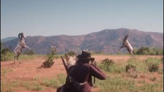 Rare Bighorn Ram Encounter  Red Dead Redemption 2 [upl. by Nameloc301]