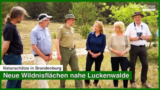 Naturschätze in Brandenburg  Neue Wildnisflächen nahe Luckenwalde [upl. by Aratal223]