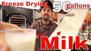 Freeze Drying 50 gallons of Milk 🐄 freezedriedmilk harvestrightfreezedryer [upl. by Lemra]