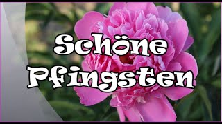 Schöne Pfingsten 🌸 [upl. by Valida]