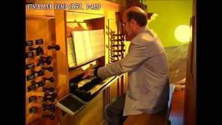 Willem vanTwillert plays his PSALM 100 Prelude Van Vulpenorgan S tadskanaal NL [upl. by Akino]