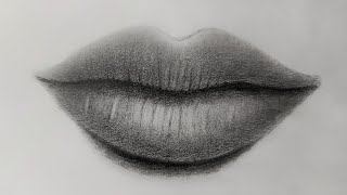 How to draw a realistic lips step by step for beginners [upl. by Deeraf]