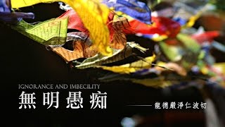 龍德嚴淨仁波切：無明愚痴Ignorance and imbecility [upl. by Ahseikan]