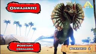 Ark survival evolved  Podstawy oswajania jak oswajać dinozaury  ARK Poradnik [upl. by Ateinotna]