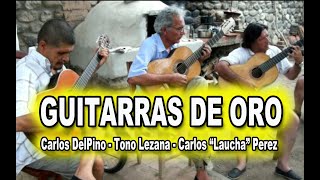 Guitarreadas Inolvidables  Carlos DelPino Tono Lezana y Carlos quotLauchaquot Perez [upl. by Suiddaht717]