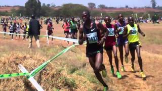 Kenyan XC champs  Mens 12km  2012 [upl. by Stinson]