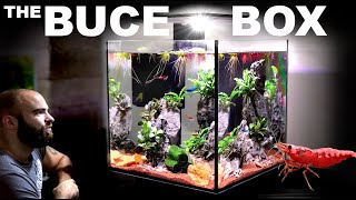 The Buce Box ALL IN ONE Shrimp Cube Aquarium [upl. by Candice297]