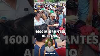 ⏺︎ Llegan 1600 migrantes al istmo [upl. by Inuat47]