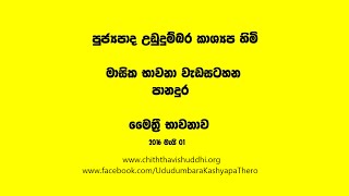 Ven Ududumbara Kashyapa Thero  මෛත්‍රී භාවනාව Maithree Meditation 2016May01 Panadura [upl. by Alison216]