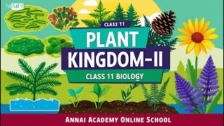 Discover the Plant Kingdom II Exploring Natures Green Diversity in Class 11 Biology [upl. by Erbes]