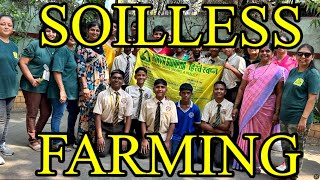 SOILLESS FARMING at LOKMANYA TILAK HIGH SCHOOL [upl. by Marden]