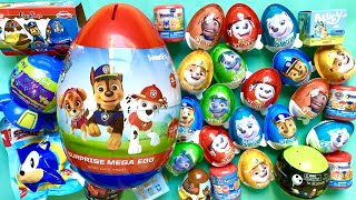 Asmr HUGE PAW PATROL SURPRISE TOYS 🐶 UNBOXING MYSTERY BOXES Blind Bags Satisfying ASMR Collection [upl. by Ardell]