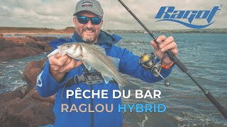 Pêche du Bar au RAGLOU HYBRID [upl. by Hcire]