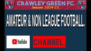 Brandon Carney 2nd Goal for Crawley Green MK Irish 23rd Nov 2024 [upl. by Zurkow]