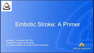 Embolic Stroke A Primer  Dr Michelle Johansen [upl. by Bove]